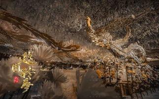 凤凰归乡,探寻传奇鸟类的迁徙传奇