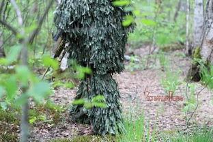 怪异伪装,揭秘怪异伪装的奇幻世界